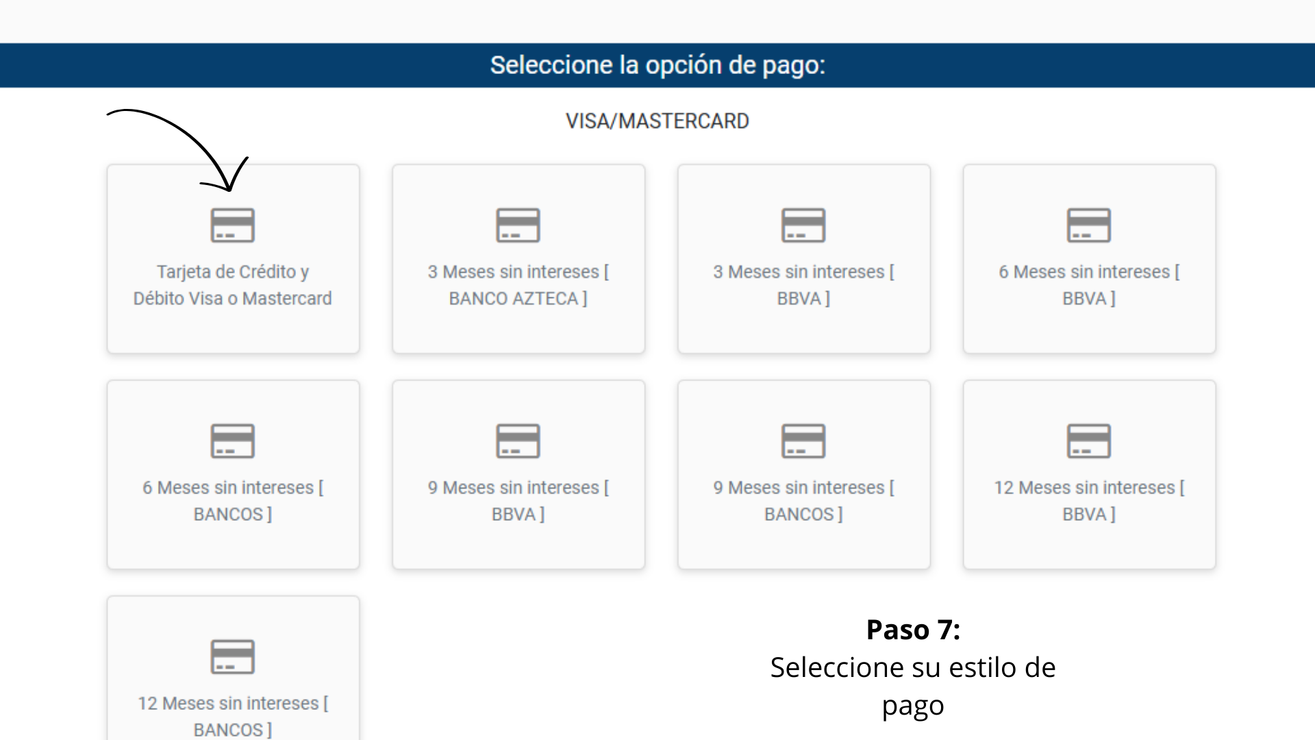 Selección de estilo de pago en la plataforma